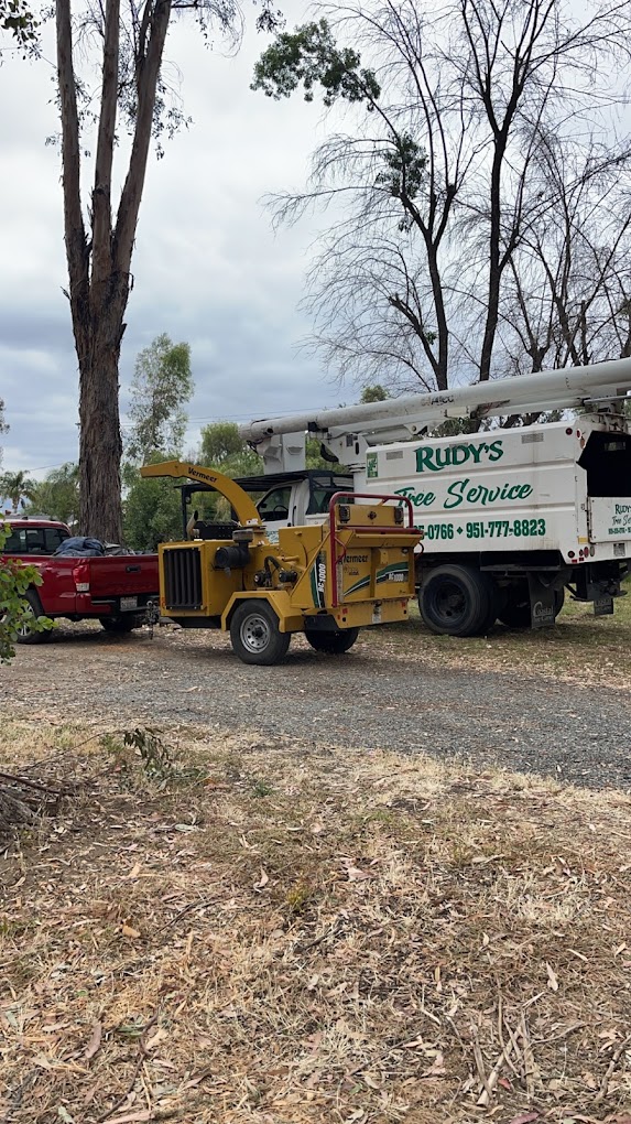 Tree Trimming Service Temecula CA