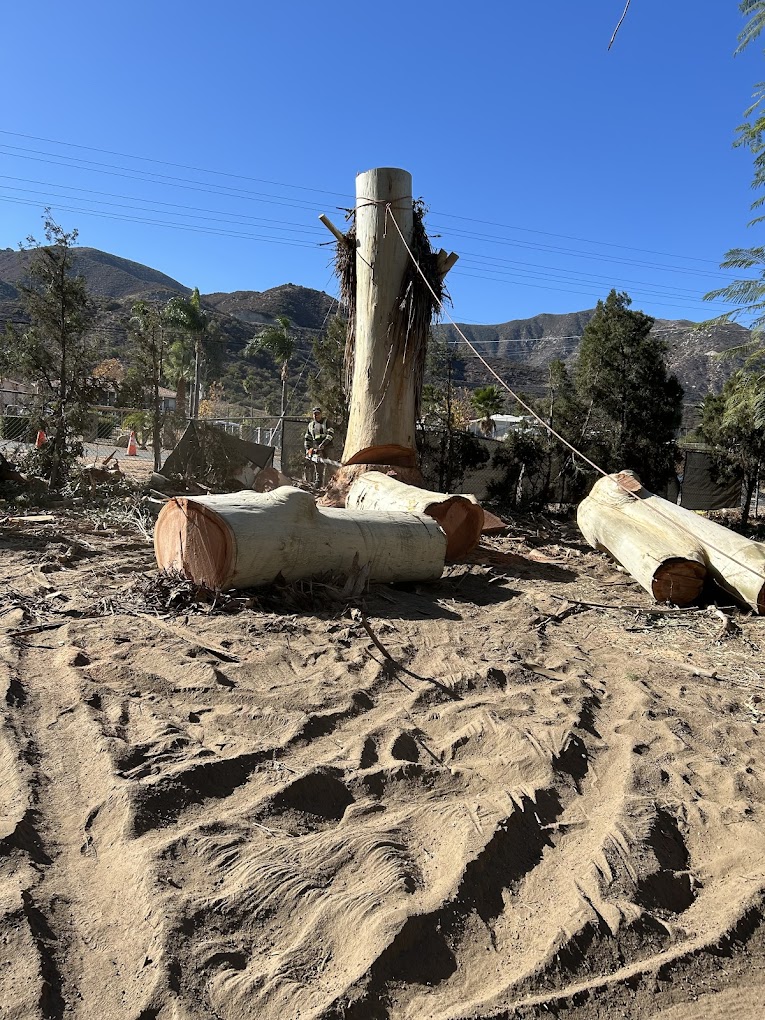 Stump Grinding Menifee CA